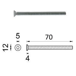 D4E SCHROEF M6X70MM