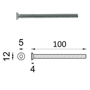 D4E SCHROEF M6X100MM